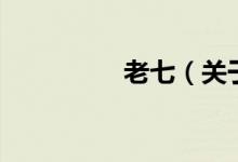 老七（關(guān)于老七的介紹）