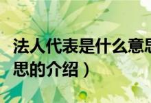 法人代表是什么意思（關于法人代表是什么意思的介紹）