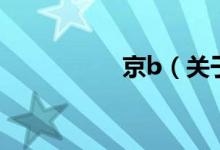 京b（關(guān)于京b的介紹）
