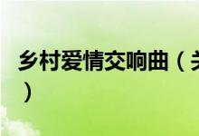 鄉(xiāng)村愛情交響曲（關于鄉(xiāng)村愛情交響曲的介紹）