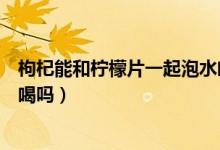 枸杞能和檸檬片一起泡水喝嗎（檸檬片和枸杞可以一起泡水喝嗎）