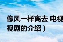 像風(fēng)一樣離去 電視?。P(guān)于像風(fēng)一樣離去 電視劇的介紹）