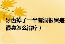 牙齒掉了一半有洞很臭是拔掉呢還是補(bǔ)（牙齒掉了一半有洞很臭怎么治療）
