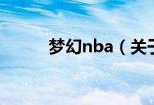 夢幻nba（關(guān)于夢幻nba的介紹）
