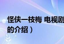 怪俠一枝梅 電視?。P(guān)于怪俠一枝梅 電視劇的介紹）