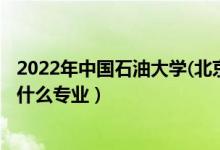 2022年中國石油大學(北京)各省招生計劃及招生人數(shù)(都招什么專業(yè))