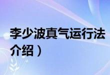 李少波真氣運行法（關于李少波真氣運行法的介紹）