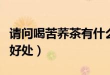 請(qǐng)問喝苦蕎茶有什么好處（常喝苦蕎茶有什么好處）
