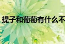 提子和葡萄有什么不同（提子和葡萄的區(qū)別）