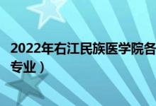 2022年右江民族醫(yī)學(xué)院各省招生計劃及招生人數(shù)（都招什么專業(yè)）