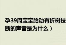 孕39周寶寶胎動(dòng)有折樹(shù)枝的聲音（胎動(dòng)肚子偶爾有小樹(shù)枝折斷的聲音是為什么）
