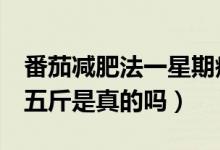 番茄減肥法一星期瘦2斤（番茄減肥一周瘦十五斤是真的嗎）