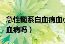 急性髓系白血病血小板偏高（血小板偏高是白血病嗎）