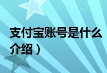 支付寶賬號(hào)是什么（關(guān)于支付寶賬號(hào)是什么的介紹）