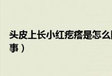 頭皮上長小紅疙瘩是怎么回事（頭皮上長小紅疙瘩是怎么回事）