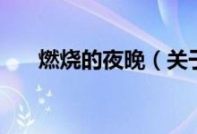 燃燒的夜晚（關(guān)于燃燒的夜晚的介紹）