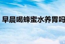 早晨喝蜂蜜水養(yǎng)胃嗎（蜂蜜水養(yǎng)胃還是傷胃）