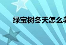 綠寶樹冬天怎么養(yǎng)（如何養(yǎng)殖綠寶樹）