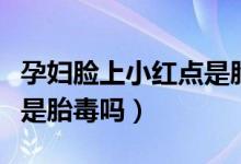 孕婦臉上小紅點(diǎn)是胎毒（懷孕肚子上長(zhǎng)紅點(diǎn)會(huì)是胎毒嗎）