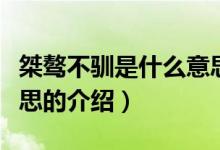 桀驁不馴是什么意思（關(guān)于桀驁不馴是什么意思的介紹）