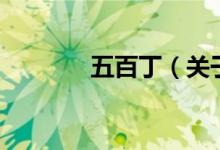 五百?。P(guān)于五百丁的介紹）
