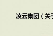 凌云集團(tuán)（關(guān)于凌云集團(tuán)的介紹）