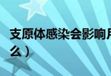支原體感染會影響月經(jīng)嗎（支原體感染會傳染么）