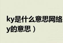 ky是什么意思網(wǎng)絡(luò)用語（怎么理解網(wǎng)絡(luò)用語ky的意思）