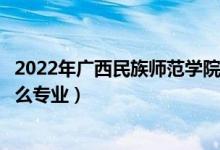 2022年廣西民族師范學(xué)院各省招生計劃及招生人數(shù)（都招什么專業(yè)）