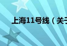 上海11號(hào)線(xiàn)（關(guān)于上海11號(hào)線(xiàn)的介紹）