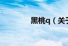 黑桃q（關(guān)于黑桃q的介紹）