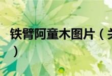 鐵臂阿童木圖片（關于鐵臂阿童木圖片的介紹）
