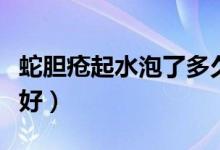 蛇膽瘡起水泡了多久會好（蛇膽瘡水泡多久能好）