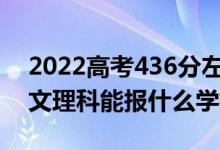 2022高考436分左右能上哪些大學(xué)（新高考文理科能報什么學(xué)校）