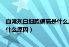 血常規(guī)白細(xì)胞偏高是什么原因兒童（兒童血常規(guī)白細(xì)胞高是什么原因）