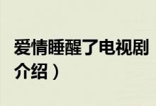愛(ài)情睡醒了電視?。P(guān)于愛(ài)情睡醒了電視劇的介紹）