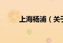 上海楊浦（關(guān)于上海楊浦的介紹）