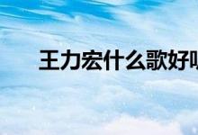 王力宏什么歌好聽（王力宏歌手簡介）