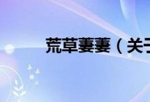 荒草萋萋（關(guān)于荒草萋萋的介紹）