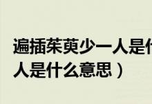 遍插茱萸少一人是什么意思?。ū椴遘镙巧僖蝗耸鞘裁匆馑迹?class=