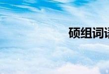 碩組詞語（碩組詞）