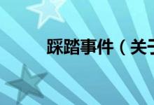 踩踏事件（關(guān)于踩踏事件的介紹）