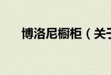 博洛尼櫥柜（關(guān)于博洛尼櫥柜的介紹）
