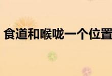 食道和喉嚨一個位置嗎（食道和喉嚨的位置）