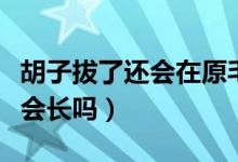 胡子拔了還會在原毛孔里長出嗎（胡子拔了還會長嗎）