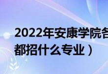 2022年安康學(xué)院各省招生計劃及招生人數(shù)（都招什么專業(yè)）