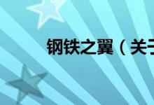 鋼鐵之翼（關(guān)于鋼鐵之翼的介紹）