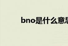 bno是什么意思（bno意思簡(jiǎn)述）