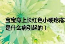 寶寶身上長(zhǎng)紅色小硬疙瘩怎么回事（寶寶身上起硬的紅疙瘩是什么病引起的）