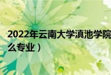2022年云南大學(xué)滇池學(xué)院各省招生計(jì)劃及招生人數(shù)（都招什么專業(yè)）